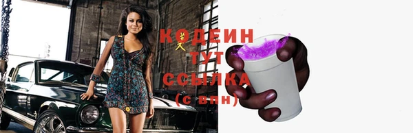 крисы Пересвет
