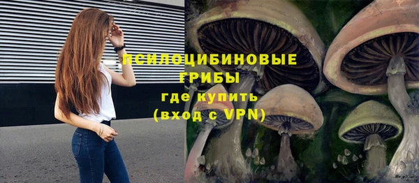 крисы Пересвет